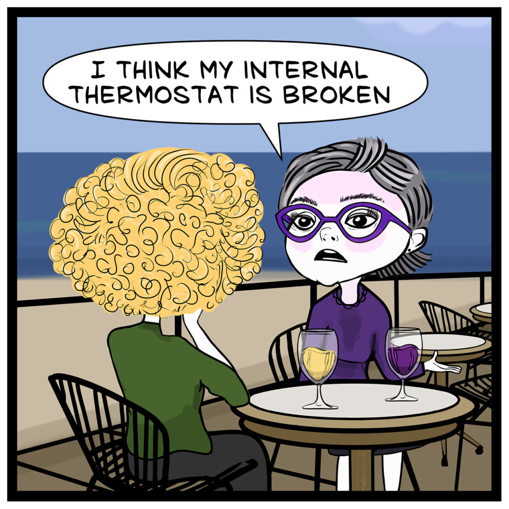 Donna, wearing purple and purple glasses, sits at a seaside café with Claire, who has curly blonde hair and a green top. Donna says, "I think my internal thermostat is broken."