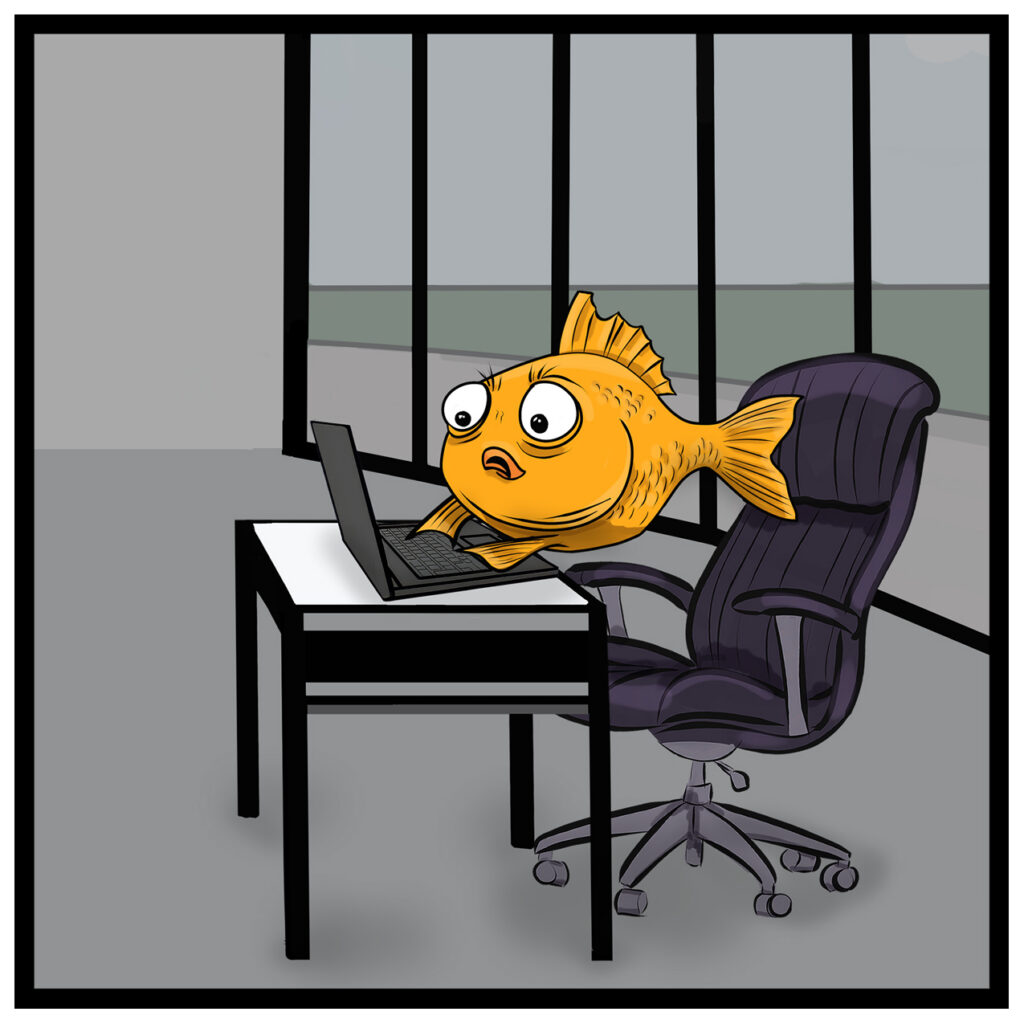 Finley leans forward and types on the laptop with both fins, concentrating on his answer.